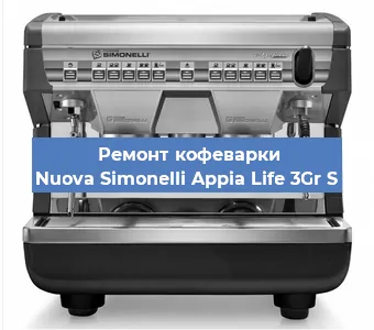 Чистка кофемашины Nuova Simonelli Appia Life 3Gr S от кофейных масел в Новосибирске